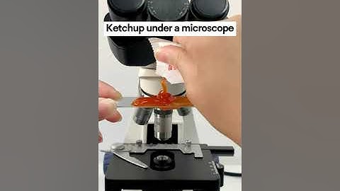 Ketchup under a microscope
