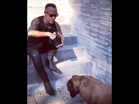 Behemoth release ‘God=Dog: Dog Food’ named after their new single...