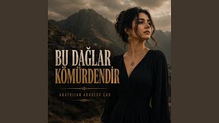 Bu Dağlar Kömürdendir