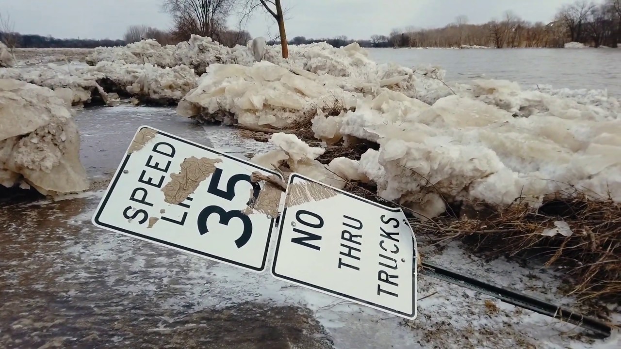 Side Cut Metropark Flood