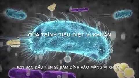 AHT CORP (CƠ CHẾ DIỆT KHUẨN CỦA NANO BẠC)