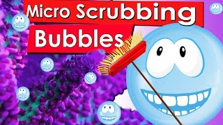Micro Scrubbing Bubbles in the Reef Tank  Bubbling Method  nano cleaning your saltwater reef tank