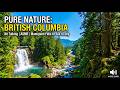 Falls & Sea to Sky Highway | Cinematic Nature Vlog (No Talking)
