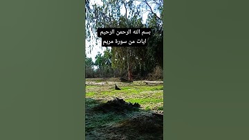 أيات من سورة مريم#القرآن_الكريم #اكسبلور #ايات_قرانيه_قصيره #الذكر_الحكيم #القرآن