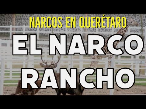 Narcos en Querétaro. Narco Ranchos