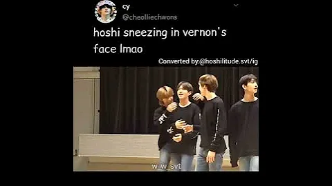 [SEVENTEEN] Hoshi sneezing at Vernon's face, & look at Minghao's reaction
