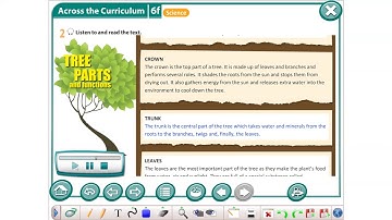 EXCEL Grade 8 Module 6f ex 2 text