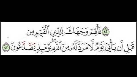 سورة الروم الآية 43