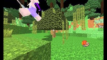 [Minecraft] MCPVP HG HACKER(Maybe) Killed with an iron helmet!