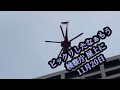 11/20 雨の一日 まさかの展開⁉️