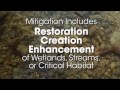 MSUSA The Straus Medina Mitigation Bank MSUSA The Straus Medina Mitigation Bank