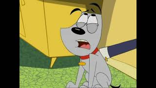 Poochini Yard, Heatwave