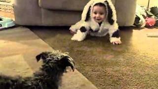 dog thinks baby is a dog