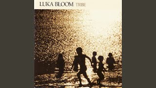 Watch Luka Bloom I Am A River video