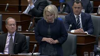 MPP Kristyn Wong-Tam calls for Gender Affirming Health Care in Question Period on Tues Sept 7 2022 Details