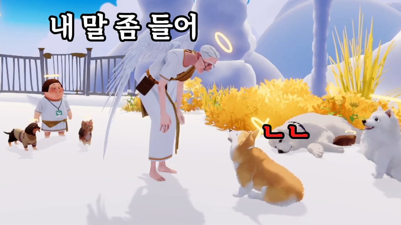 나의 작은 강아지가 금쪽이