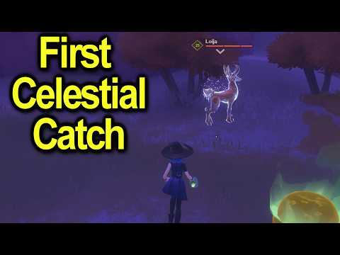 My first Celestial | Witchspire