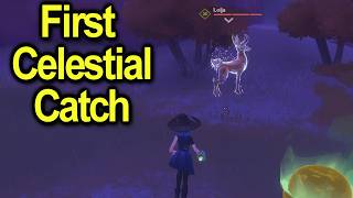My first Celestial | Witchspire