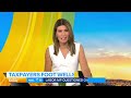 Pauline Hanson’s Coalition proposition; Anika Wells expenses scandal | Today Show Australia