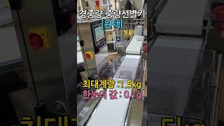 [원텍_경중량 중량선별기] #checkweigher #sorter  #rotarymachine