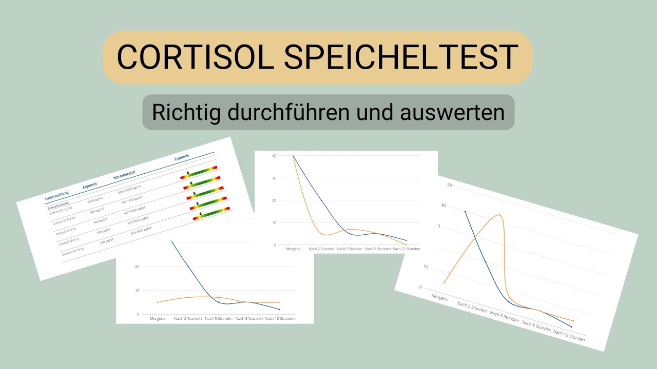 Nebennierenschwäche Cortisol Speicheltest Anleitung und Auswertung