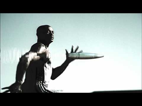 WILDAID- BULLET :60