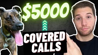 Selling Covered Calls on Tesla Stock to Pay for My Dog's $5,000 surgery