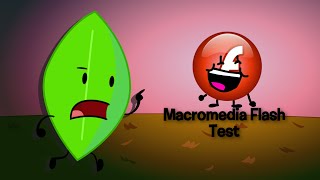 MacroMedia Flash: BFDI Test