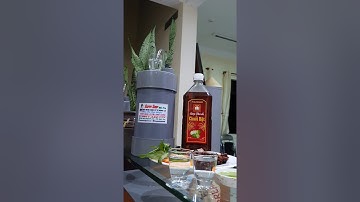 Bình rót rươu tự động 2 LIT