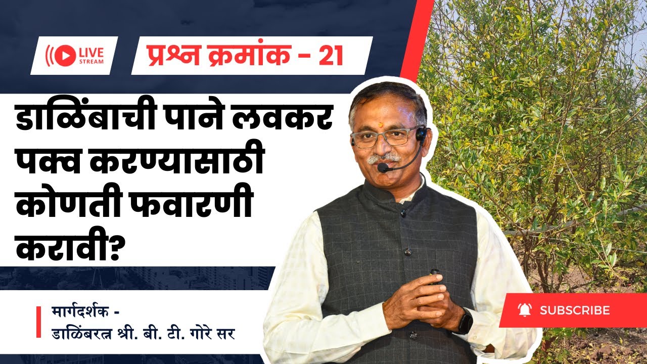प्रश्न क्रमांक 21 - डाळिंबाची पाने लवकर पक्व करण्यासाठी कोणती फवारणी करावी?