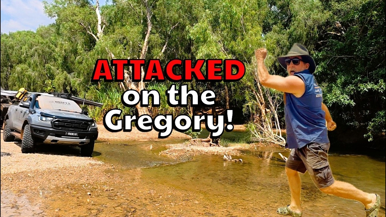 Attacked on the Gregory!