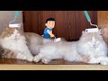 コロコロを頭にのせたら凶暴猫も大人しくなるのか…?【ぽしゃっけ】