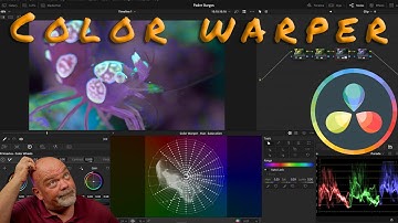 Color correction in a few clics, Color warper, Davinci resolve 17