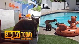 Mama bear and cubs enjoy spa day in California backyard