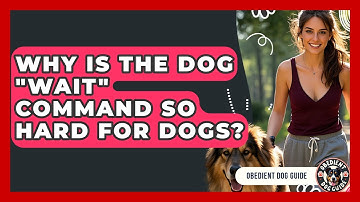 Why Is The Dog "wait" Command So Hard For Dogs? - Obedient Dog Guide