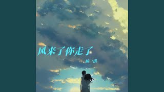 风来了你走了