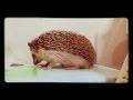 おや？つゆさんの様子が…！！