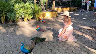 Colombia, One of the Amazing Cruise Port in Caribbean w/ mini Zoo &amp; Old City Cartagena Best Review