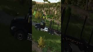 Conquer the Mountain Forests P8 #gaming #farmingsimulator #farming #farm #games #fs25 #driving #pov