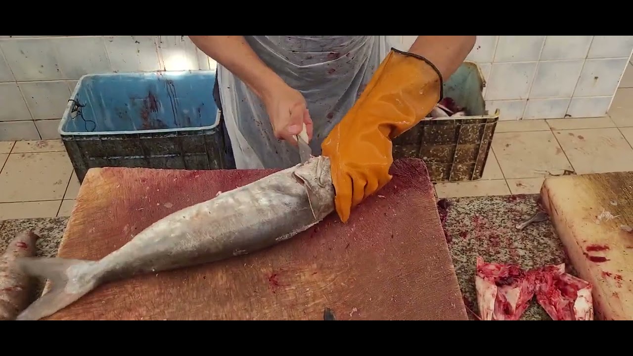 The Ultimate Fish Cutting Tutorial: Knife Skills and Tricks Revealed