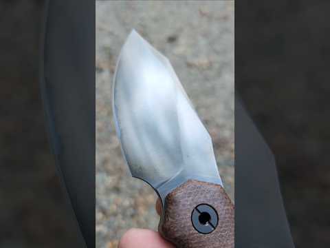 DLC Fixed Blade!???