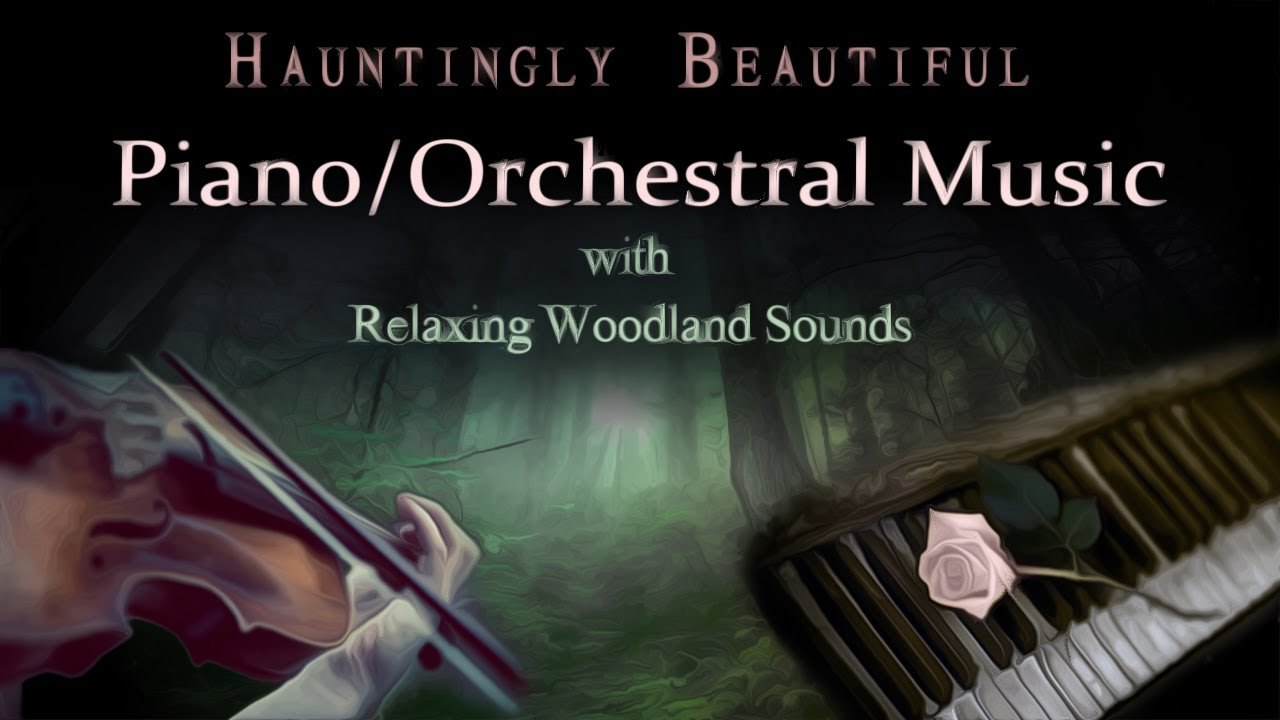 Guarda Hauntingly Beautiful Piano/Orchestra Music with Peaceful Woodland Sounds su YouTube