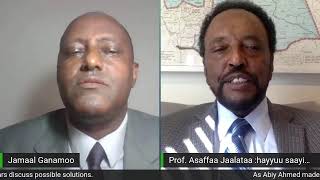 A discussion on the political crises in Ethiopia and the future of Oromia screenshot 5