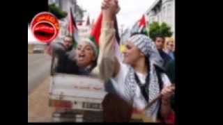 ثوروا كــتشي جيفارا: أمـل مرقس