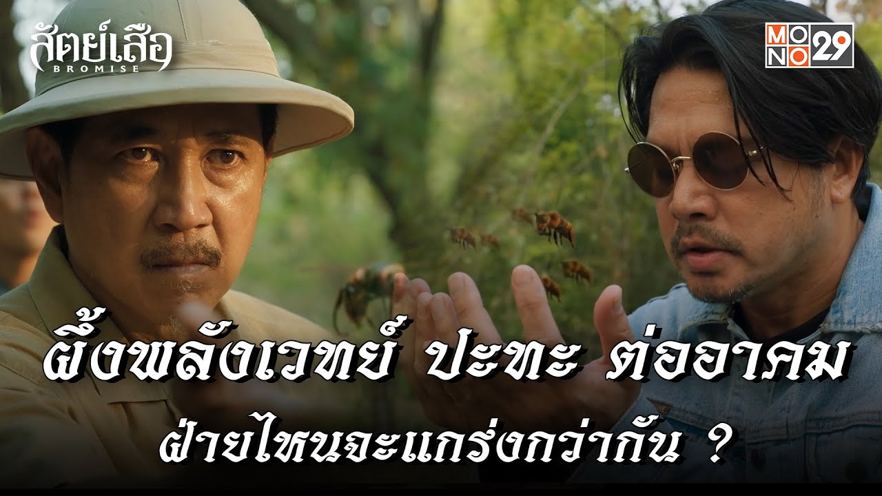 ผึ้งพลังเวทย์ ปะทะ ต่ออาคม : ฝ่ายไหนจะแกร่งกว่ากัน ? l สัตย์เสือ BROMISE MONO29