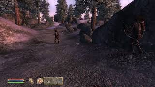 Oblivion Guard Fight ?