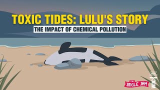 Wdc Toxic Tides - Lulus Story - The Impact Of Chemical Pollution Whale And Dolphin Conservation
