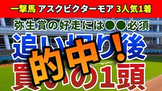 弥生賞2022 追い切り後【買いの1頭】公開！弥生賞での好走を裏付ける意外な特質とは？激走を期待できる人気薄必至の1頭を発表！