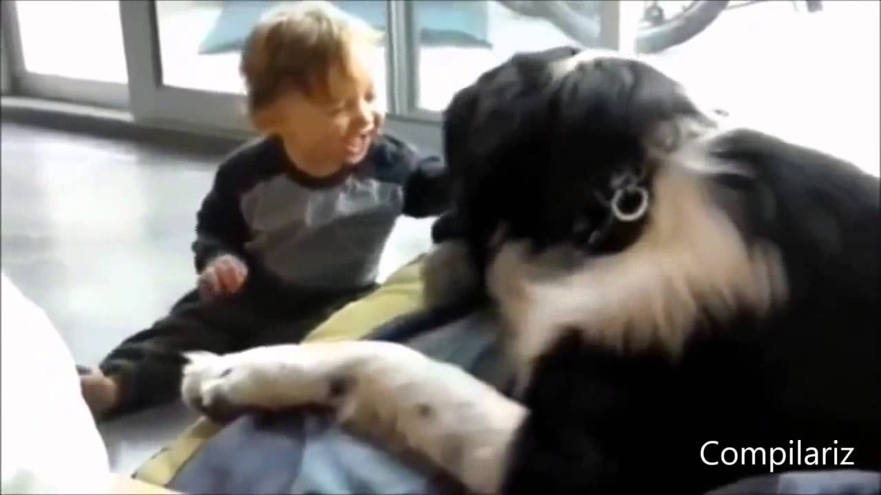 Собака друг человека подборка видео - YouTube