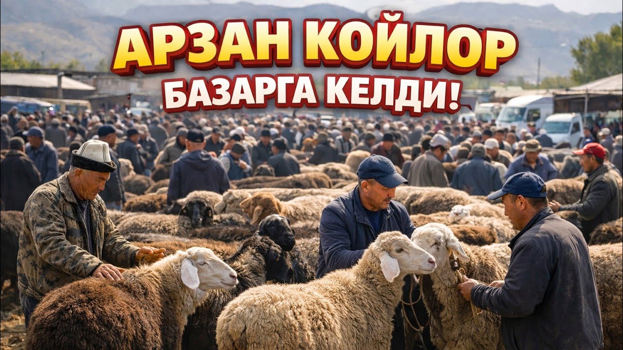 22.02.26 Учкун кой базары туугандар 🫡🫡🇰🇬🇰🇬🇰🇬#кыргызстан 